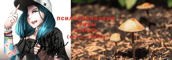 гидра Кинешма
