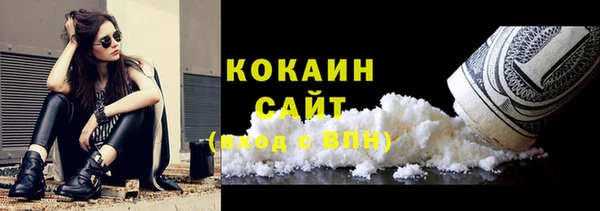 гидра Кинешма