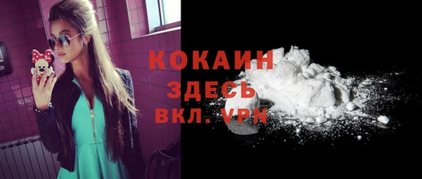 гидра Кинешма
