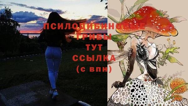 дурь Киренск