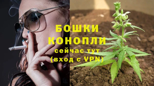 гидра Кинешма
