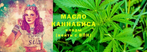 гидра Кинешма
